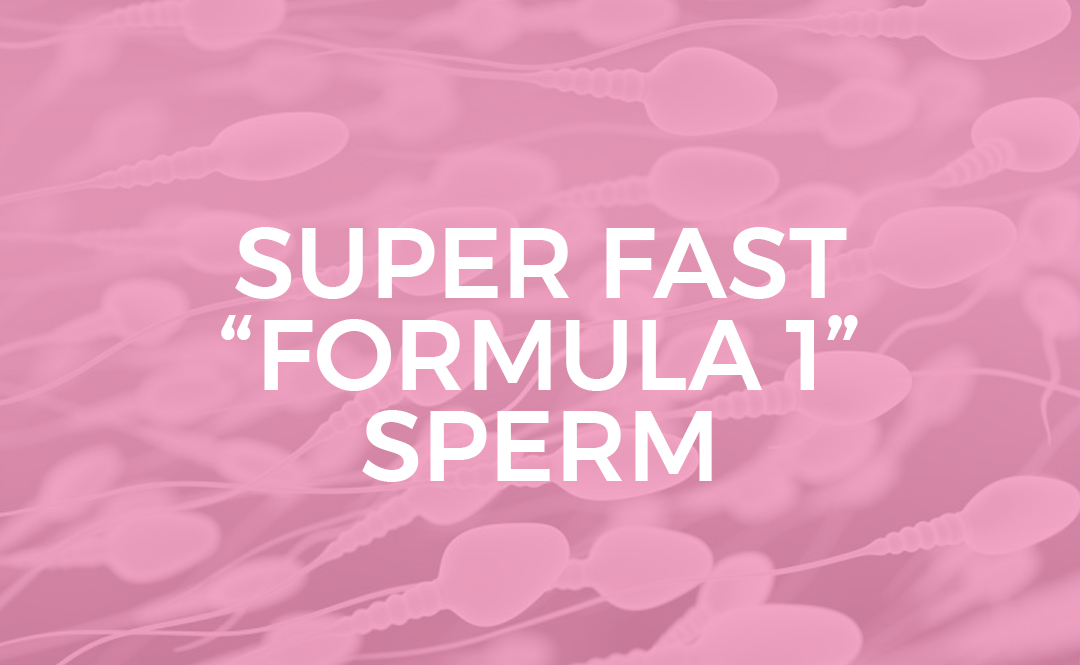 Trying With No Success Super fast “formula 1” sperm
